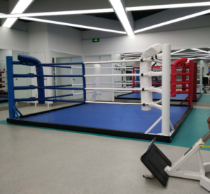 floor-Boxing-ring-300x277 キックボクシングジム。杉並区のベストキッド東京。リニューアル準備中。