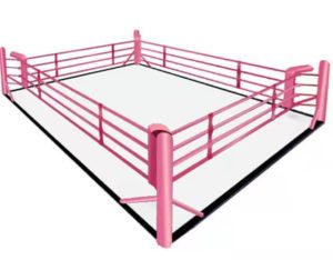 ring1-300x225 格闘技用（ボクシング、キックボクシング、）リング販売。業界最安値！69万円～！ショールームで試せます。